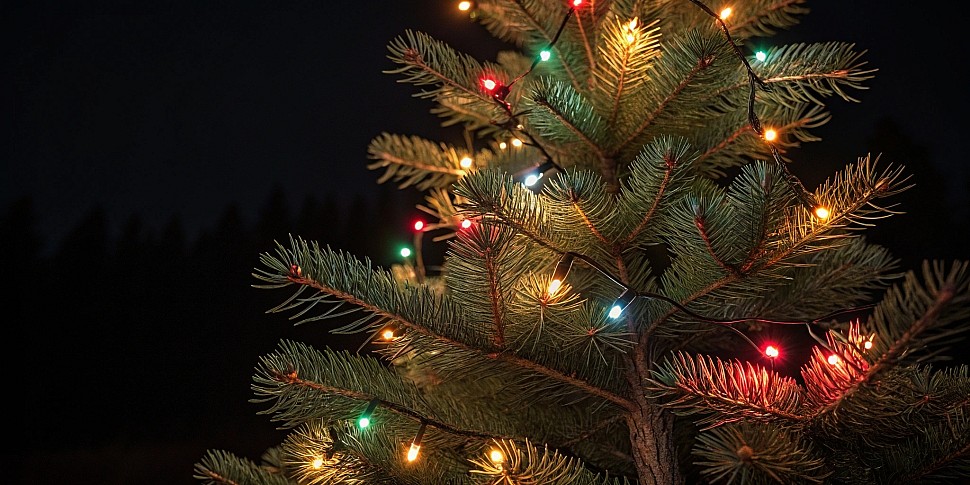 Гирлянды на уличной ёлке