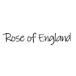 Rose of England