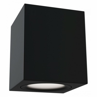Накладной светильник Maytoni Изящность C013CL-01B MY_C013CL-01B