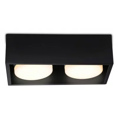 Накладной светильник Ambrella Light TN TN70829 AMBR_TN70829