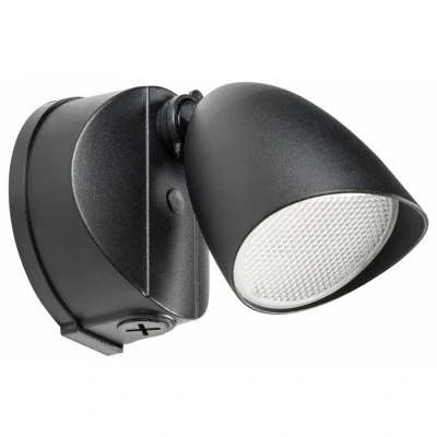 Светильник на штанге Lightstar Diva 374137 LS_374137