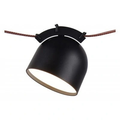 Накладной светильник Denkirs BELTY SPOT DK5542-BK DK_DK5542-BK