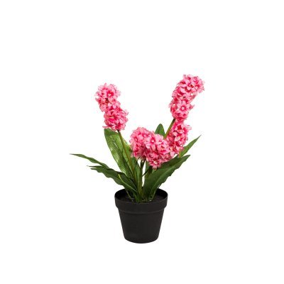 Гиацинт в горшочке розовый 40 см (6) (TT-00001392)