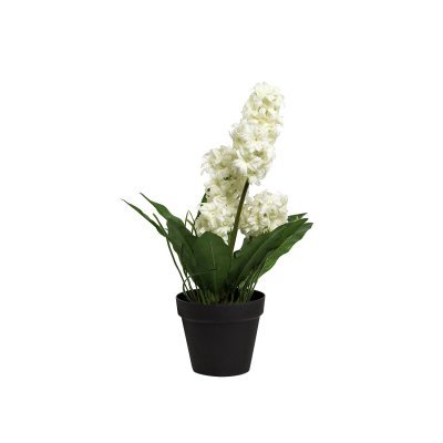 Гиацинт в горшочке белый 40 см (6) (TT-00001393)
