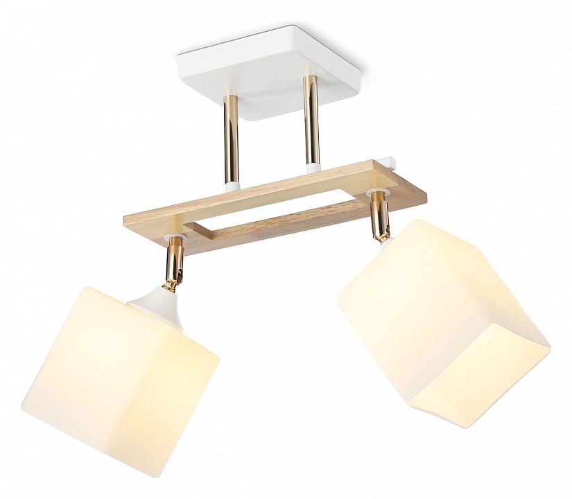 Фото Светильник на штанге Ambrella Light TR TR9501 AMBR_TR9501 - интернет-магазин МегаТерем в Москве