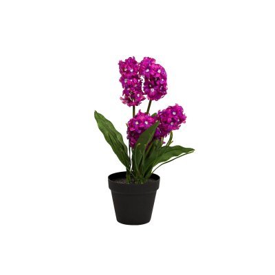 Гиацинт в горшочке фиолетовый 40 см (6) (TT-00001394)