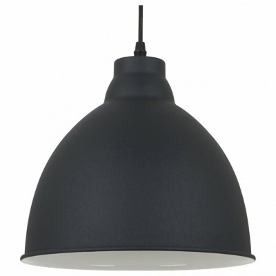 Подвесной светильник Arte Lamp Braccio A2055SP-1BK AR_A2055SP-1BK