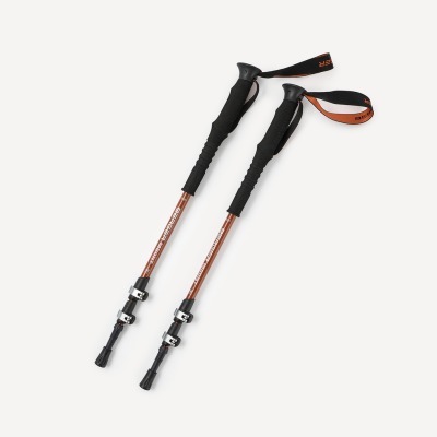 Треккинговые палки Berger H...