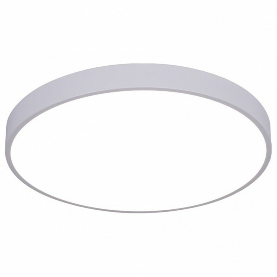 Фото Накладной светильник Arte Lamp Arena A2670PL-1WH AR_A2670PL-1WH - интернет-магазин МегаТерем в Москве