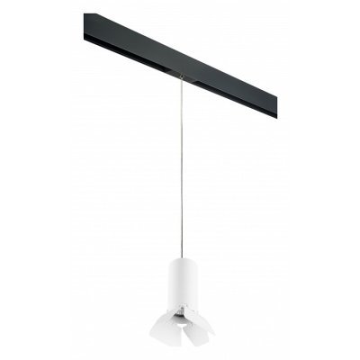 Подвесной светильник Lightstar Rullo PRORP486436 LS_PRORP486436