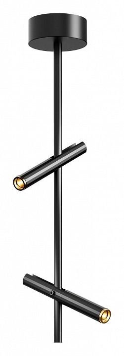 Фото Светильник на штанге ST-Luce LILT SL6210.403.02 - интернет-магазин МегаТерем в Москве