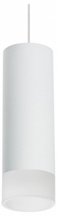 Фото Подвесной светильник Lightstar Rullo RP48631 LS_RP48631 - интернет-магазин МегаТерем в Москве