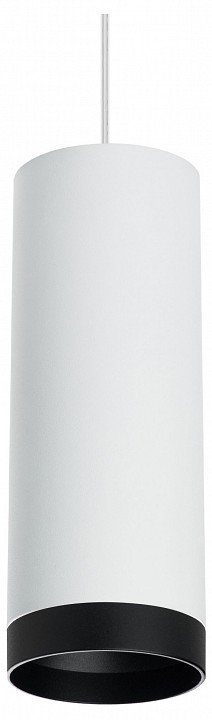 Фото Подвесной светильник Lightstar Rullo RP4863437 LS_RP4863437 - интернет-магазин МегаТерем в Москве