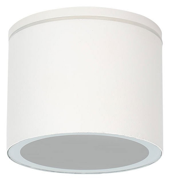 Фото Накладной светильник Arte Lamp Piautos A1913PF-1WH AR_A1913PF-1WH - интернет-магазин МегаТерем в Москве