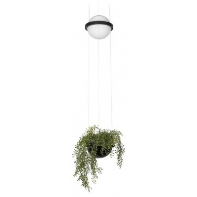 Подвесной светильник Loft it Jardin 10121/B LF_10121_B