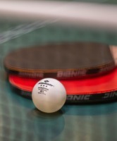 Мяч для настольного тенниса Donic 3* Champion ITTF, белый, 3 шт. (693469)