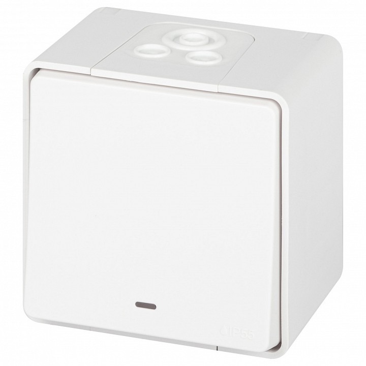 Фото Выключатель одноклавишный с подсветкой Эра Эра Эксперт 11-1502-01 ER_B0063305 - интернет-магазин МегаТерем в Москве