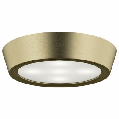 Накладной светильник Lightstar Urbano 214914 LS_214914