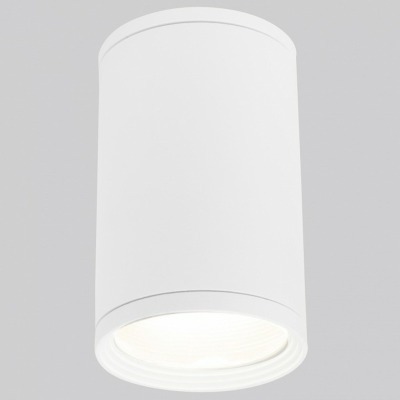 Накладной светильник Elektrostandard Light a056333 ELK_a056333