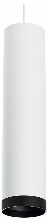 Фото Подвесной светильник Lightstar Rullo RP4963437 LS_RP4963437 - интернет-магазин МегаТерем в Москве