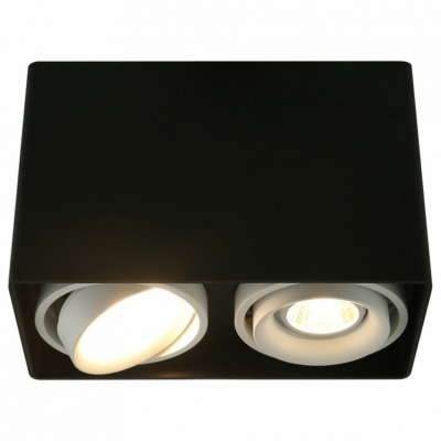 Накладной светильник Arte Lamp 5655 A5655PL-2BK AR_A5655PL-2BK