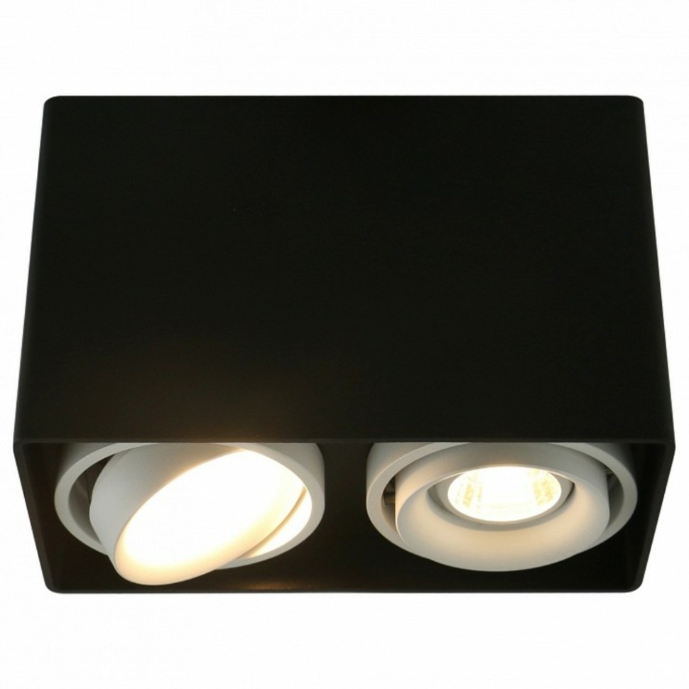 Фото Накладной светильник Arte Lamp 5655 A5655PL-2BK AR_A5655PL-2BK - интернет-магазин МегаТерем в Москве