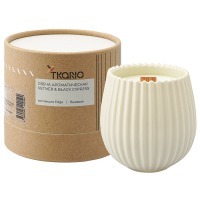 Свеча ароматическая с деревянным фитилём vetiver & black cypress из коллекции edge, бежевый, 60 ч (75704)
