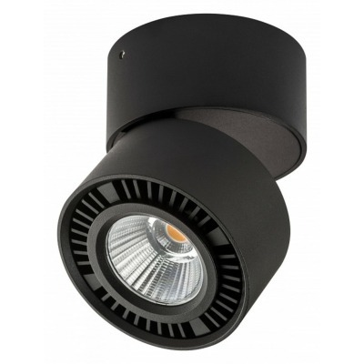 Накладной светильник Lightstar Forte Muro 214817 LS_214817