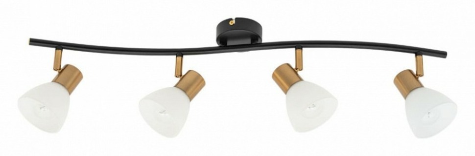 Фото Спот Arte Lamp Falena A3117PL-4BK AR_A3117PL-4BK - интернет-магазин МегаТерем в Москве