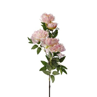 Пион кустовой нежно-розовый 94см(12) (D-TT-00004040) 