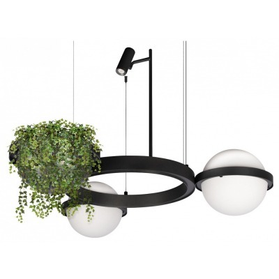 Подвесной светильник Loft it Jardin 10121/2 LF_10121_2