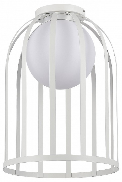 Фото Накладной светильник ST-Luce Nordic SL6129.502.01 - интернет-магазин МегаТерем в Москве