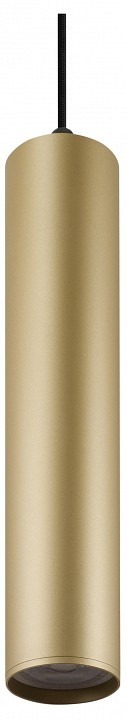Фото Светильник на штанге Denkirs TUBE DK6210-BG DK_DK6210-BG - интернет-магазин МегаТерем в Москве