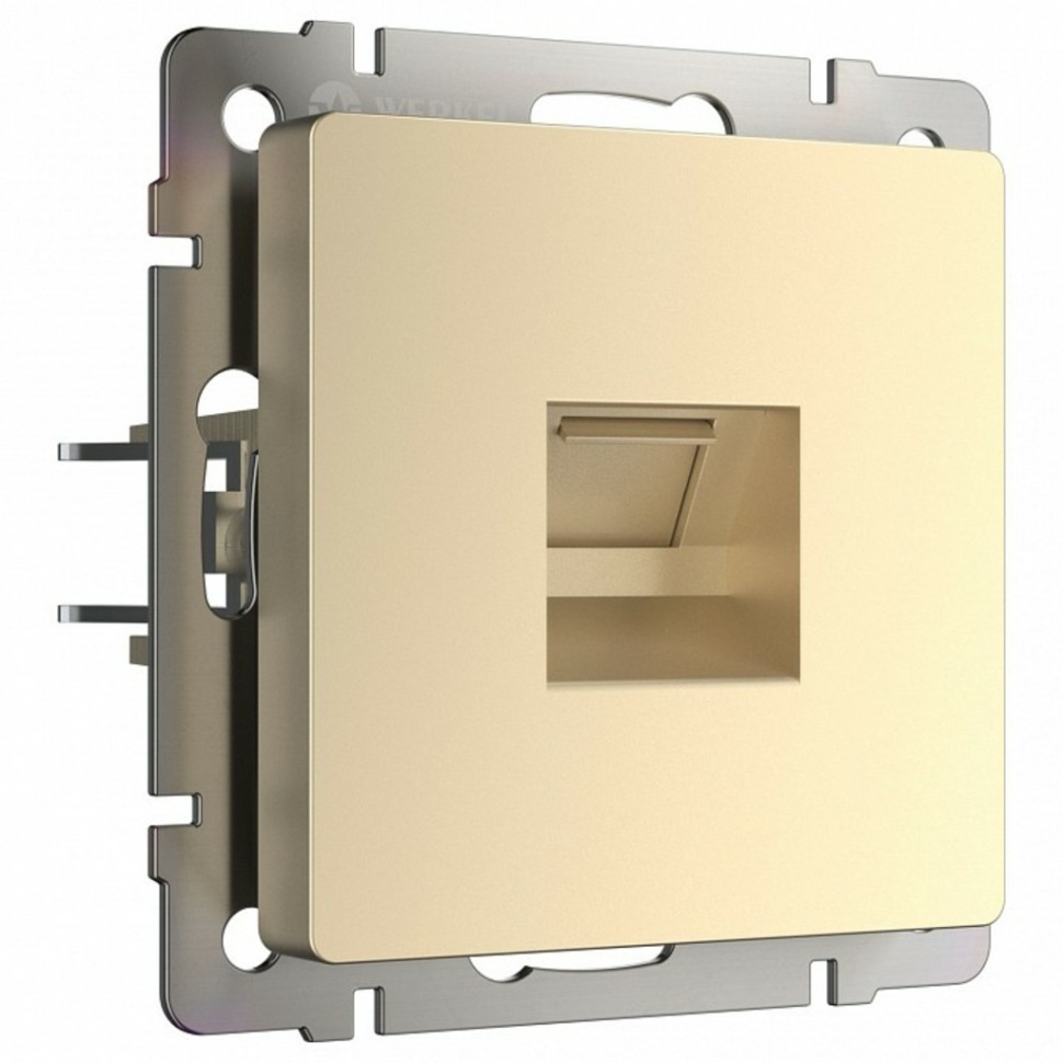 Фото Розетка Ethernet RJ-45 без рамки Werkel шампань W1181011 WRK_a050873 - интернет-магазин МегаТерем в Москве