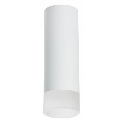 Накладной светильник Lightstar Rullo R48631 LS_R48631