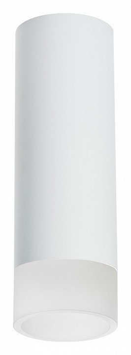 Фото Накладной светильник Lightstar Rullo R48631 LS_R48631 - интернет-магазин МегаТерем в Москве