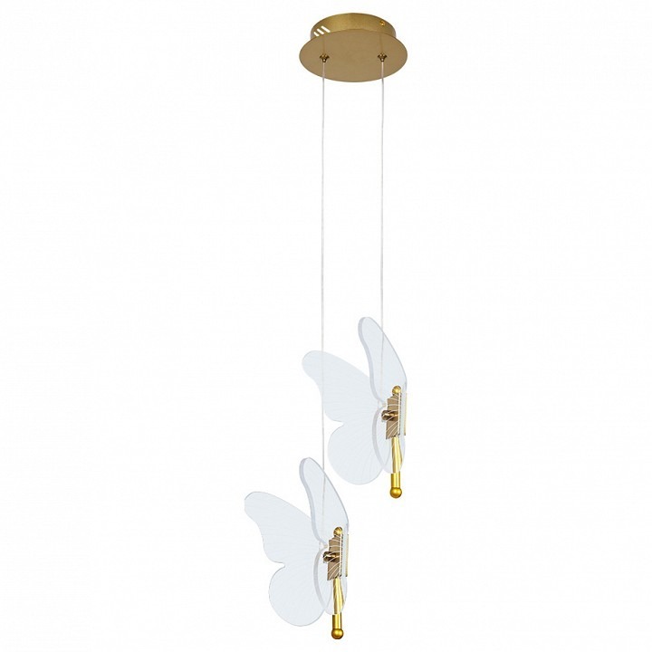 Фото Подвесной светильник Arte Lamp Darcy A2187SP-2GO AR_A2187SP-2GO - интернет-магазин МегаТерем в Москве