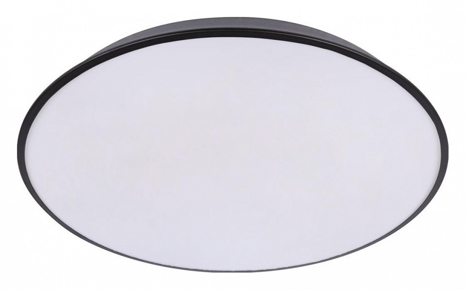 Фото Накладной светильник Loft it Brim 10226 Black LF_10226_Black - интернет-магазин МегаТерем в Москве