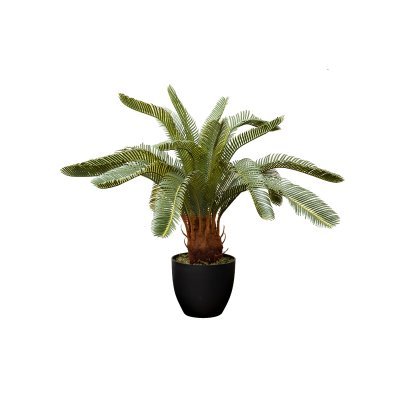 Пальма Цикас (Cycas) искусс...