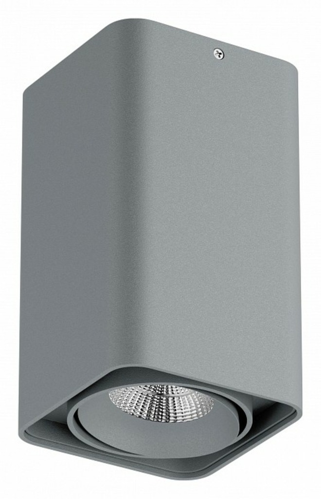 Фото Накладной светильник Lightstar Monocco 052339-IP65 LS_052339-IP65 - интернет-магазин МегаТерем в Москве