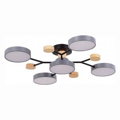 Потолочная люстра EVOLUCE Faema SLE6006-702-05 EVO_SLE6006-702-05