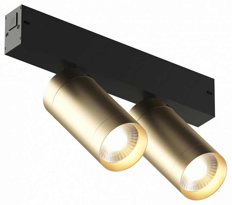 Фото Светильник на штанге Denkirs Smart DK8012-BG DK_DK8012-BG - интернет-магазин МегаТерем в Москве