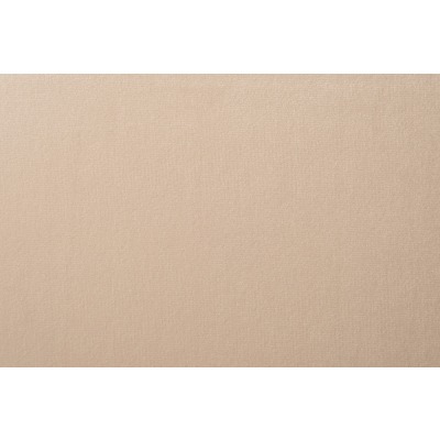 SILKY VEL 5 Ткань ВЕЛЮР ШЕЛК (TT-00013549)