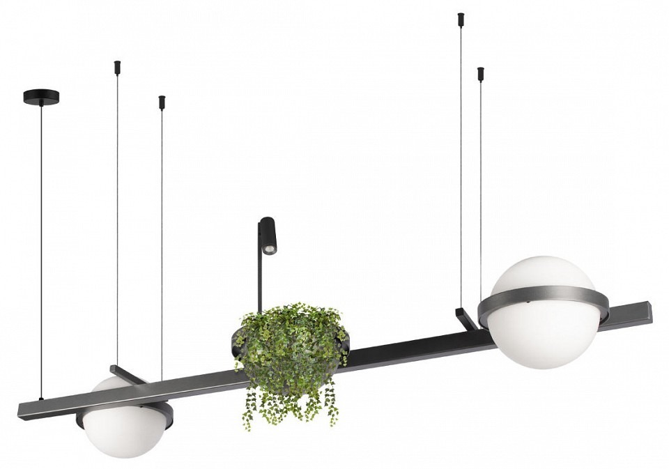 Фото Подвесной светильник Loft it Jardin 10121/D Dark grey LF_10121_D_Dark_grey - интернет-магазин МегаТерем в Москве