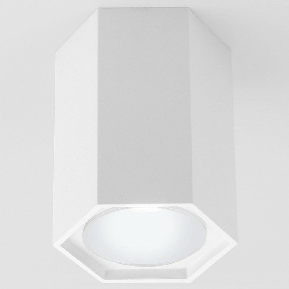 Фото Накладной светильник Elektrostandard 25037/LED a055858 ELK_a055858 - интернет-магазин МегаТерем в Москве