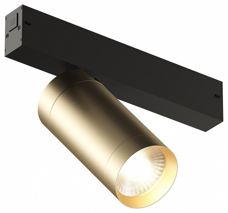 Фото Светильник на штанге Denkirs Smart DK8020-BG DK_DK8020-BG - интернет-магазин МегаТерем в Москве