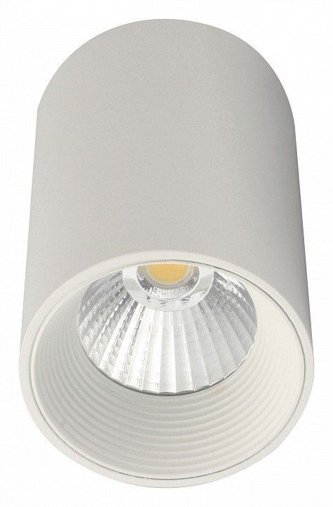 Фото Накладной светильник Escada 20003 20003SMU/01LED SWH ESC_20003SMU_01LED_SWH - интернет-магазин МегаТерем в Москве