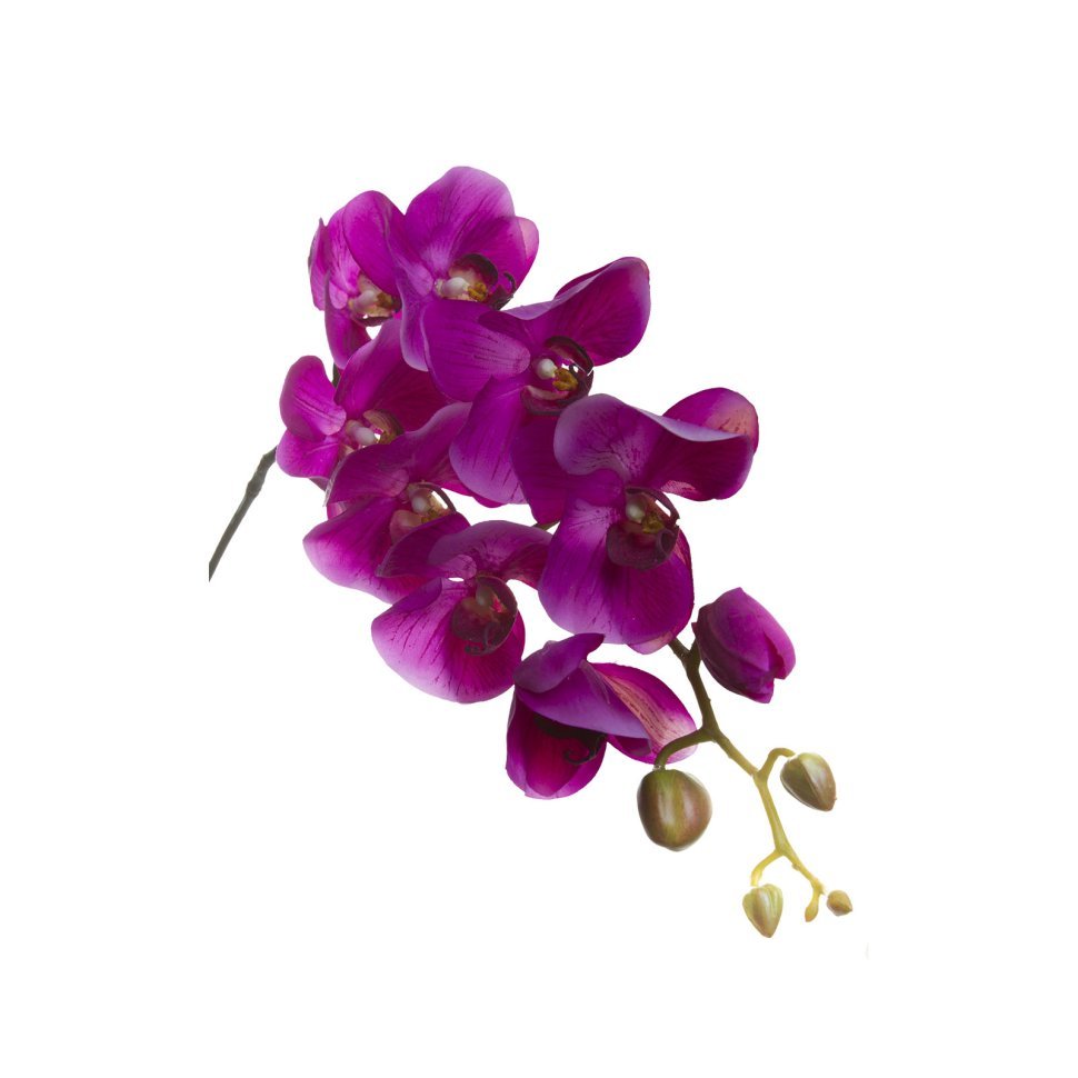 Купить орхидею в чебоксарах. Сиреневая Орхидея искусственная. Искусственные орхидеи фиолетовые. Оранжевая Орхидея. Орхидея фиолетовая с белым бархатистая.
