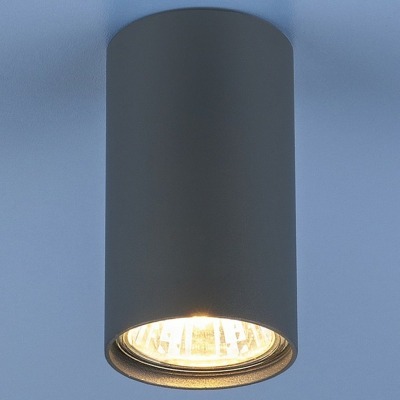 Накладной светильник Elektrostandard 1081 a038615 ELK_a038615