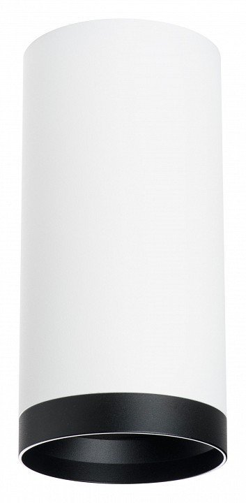 Фото Накладной светильник Lightstar Rullo R64863487 LS_R64863487 - интернет-магазин МегаТерем в Москве
